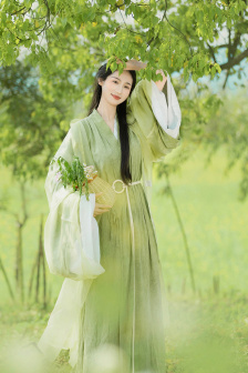 镇国神婿短剧免费观看全集